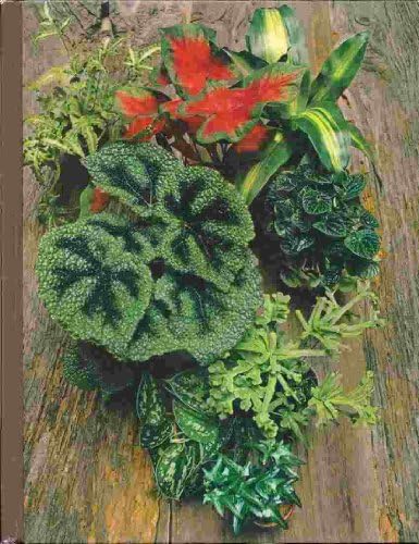 House Plants: Pizzetti, Mariella And English Translation By